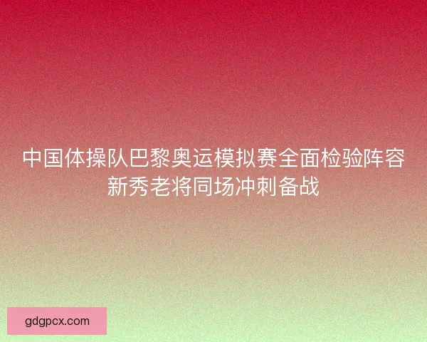 中国体操队巴黎奥运模拟赛全面检验阵容新秀老将同场冲刺备战